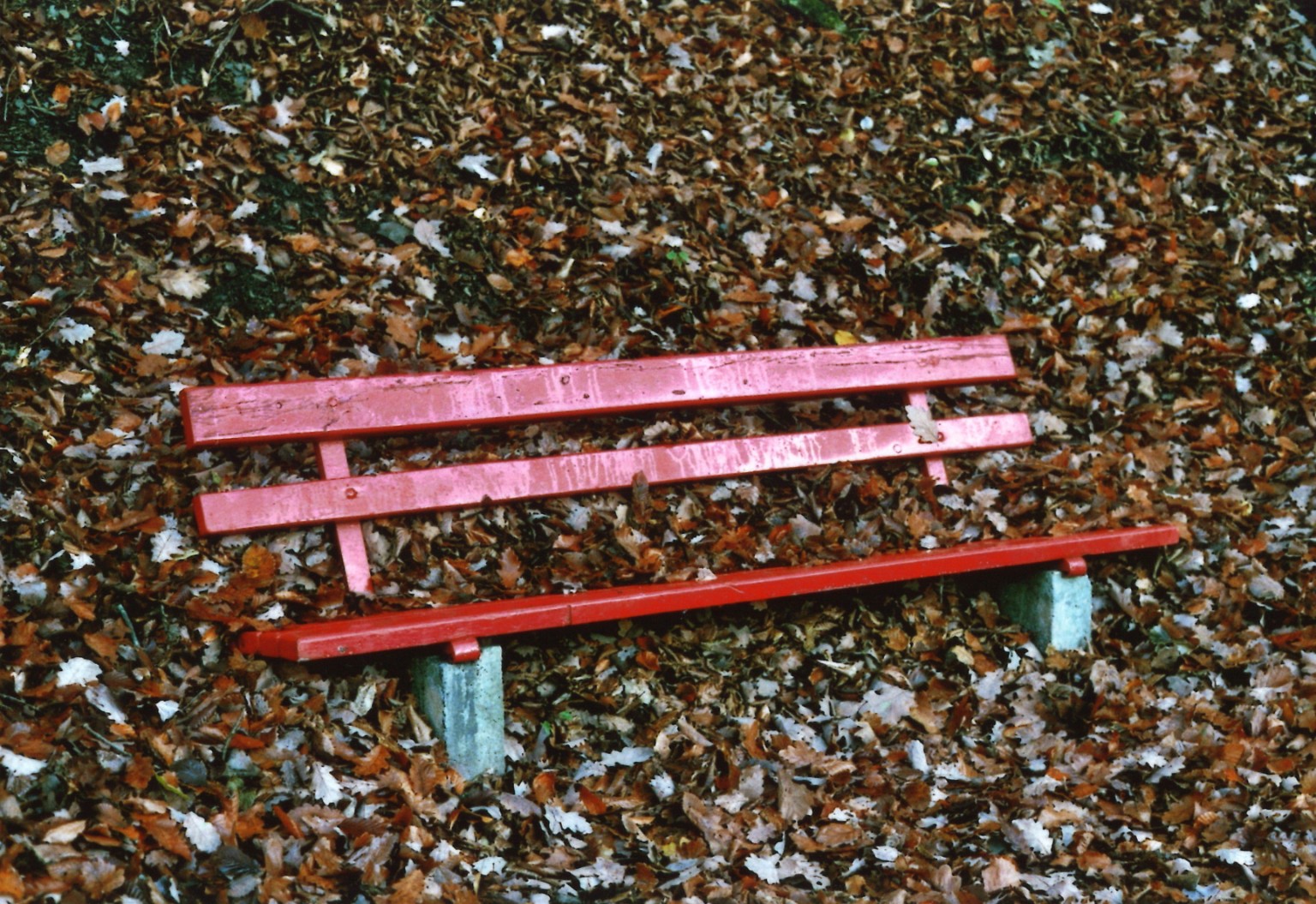 Rote Bank im Herbstlaub