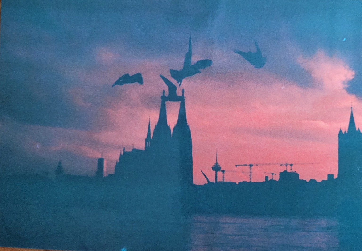 Kölner Dom als Silhouette mit Vögeln