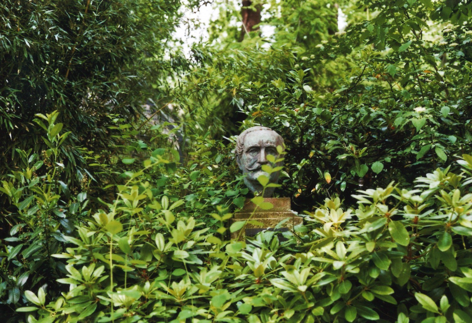 Büste zwischen dichter Vegetation