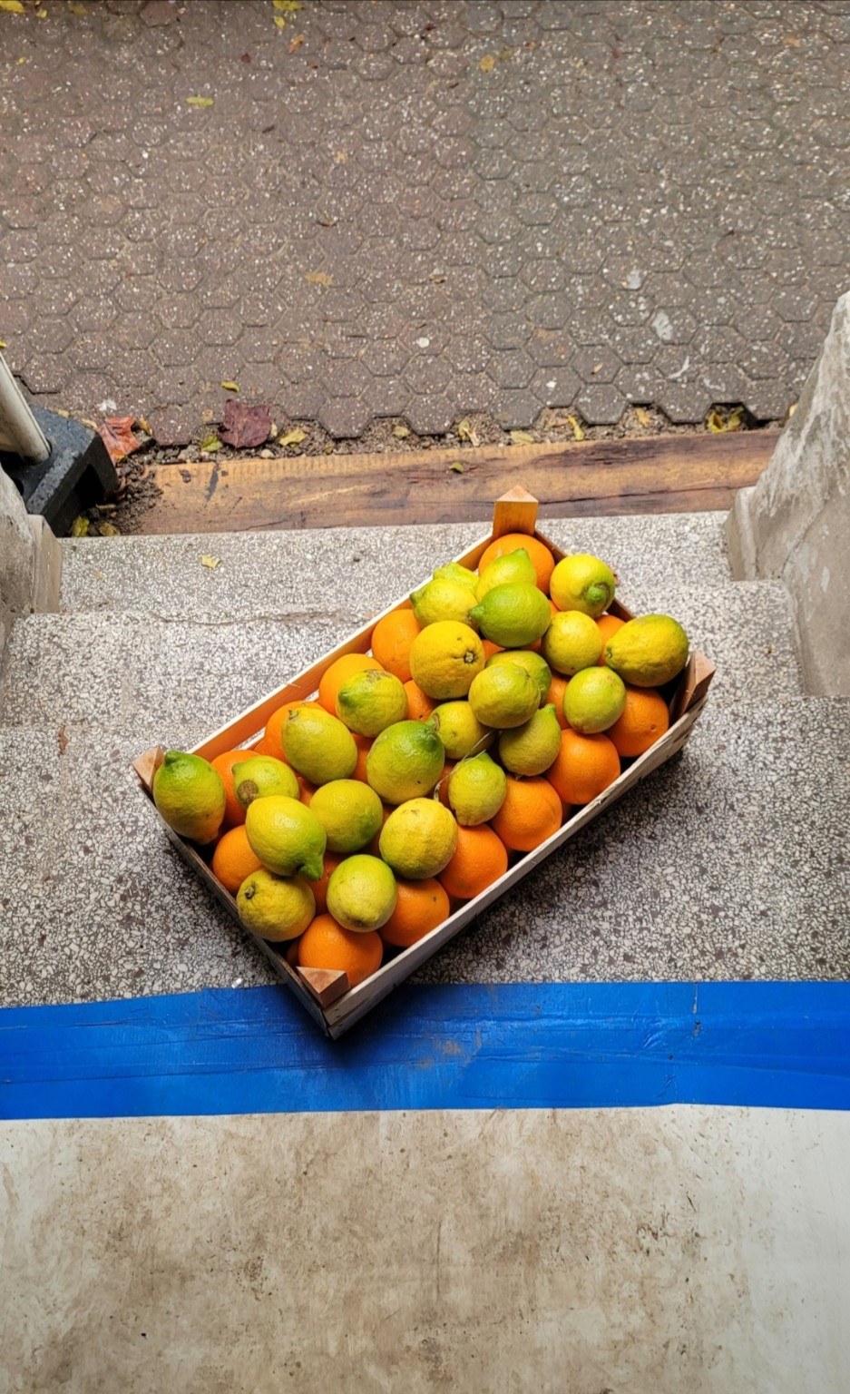 Zitronen und Orangen in einer Holzkiste